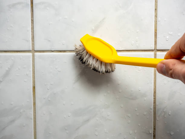Best Bathroom Mold Remediation in Edgefield, SC