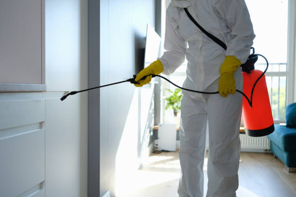 Best Basement Mold Remediation in Edgefield, SC