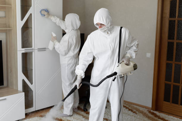 Best DIY Mold Remediation Support Services in Edgefield, SC