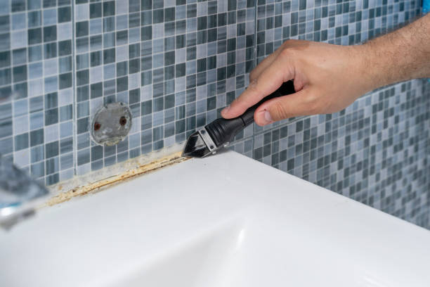 Best Insurance-Related Mold Remediation in Edgefield, SC