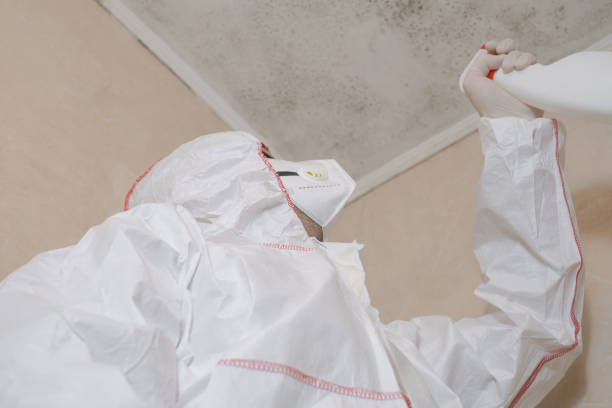 Best DIY Mold Remediation Support Services in Edgefield, SC